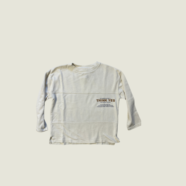 Remera ZARA