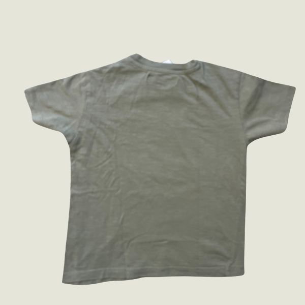 Remera ZARA