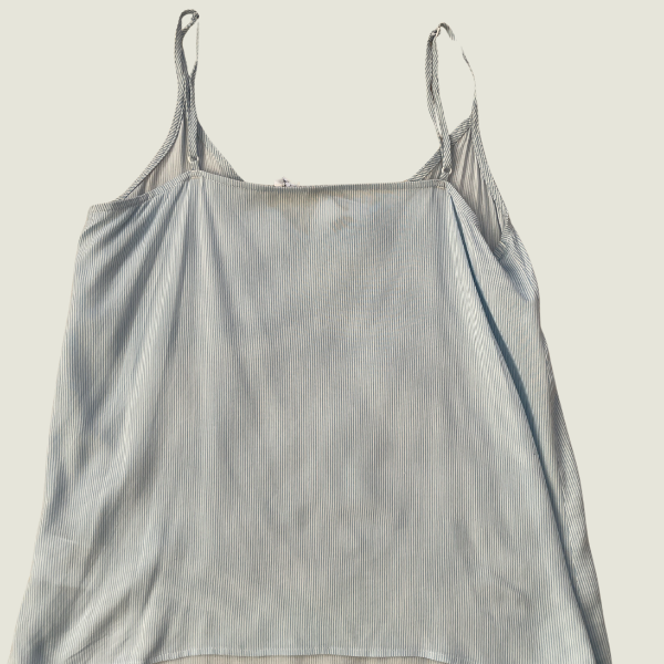 Musculosa