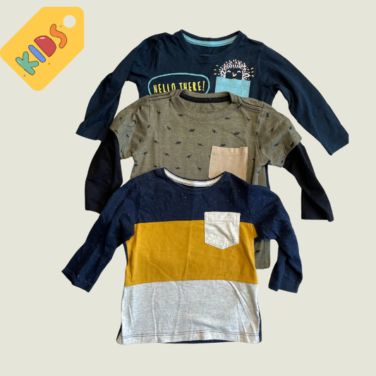 Remera  X 3