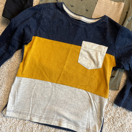 Remera  X 3