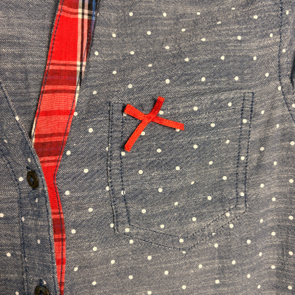 Camisa DANIEL CASSIN