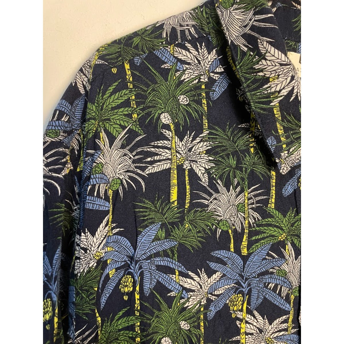 Camisa
