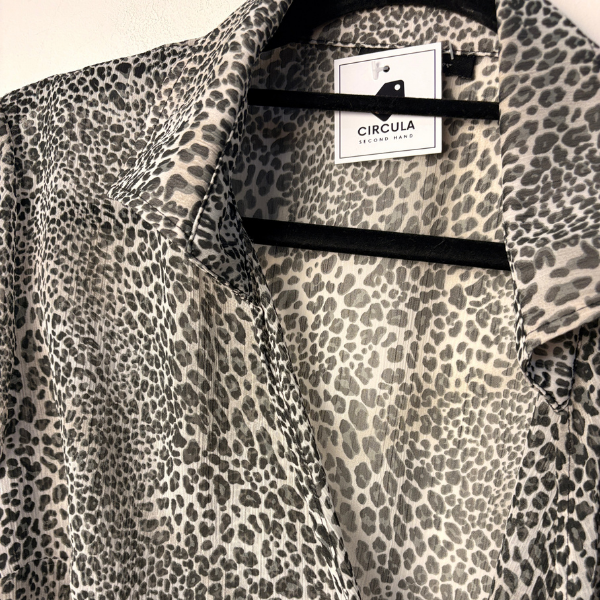 Camisa