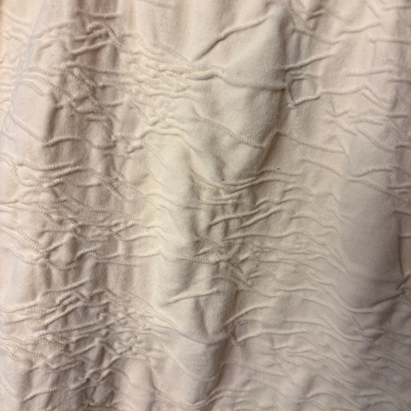 Musculosa